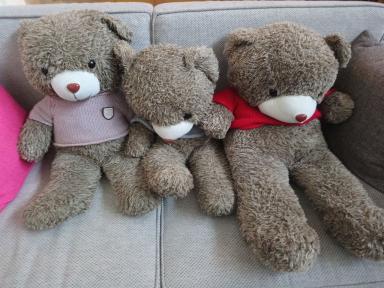 goldenheightsbears