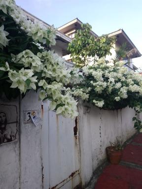 door