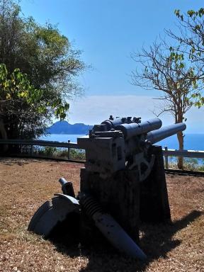 gun