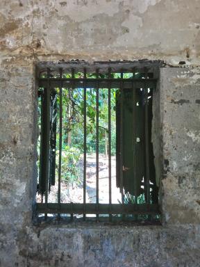 window