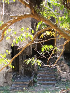 steps