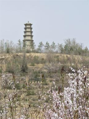 pagoda