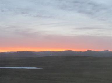 dawn