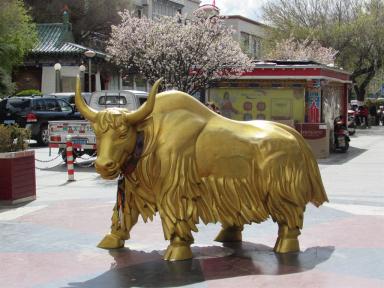 goldenyak