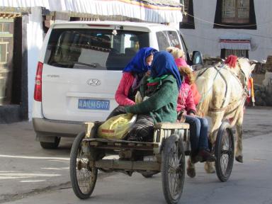 cart