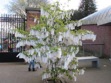 peacetree