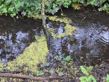 river
