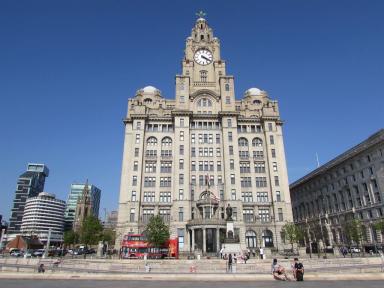 Liverbuilding