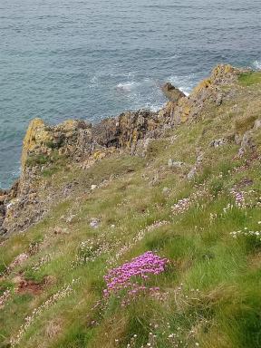 cliff