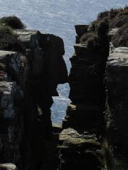 129409