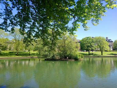 buxtonpark