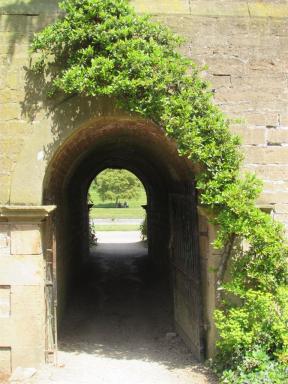 tunnel