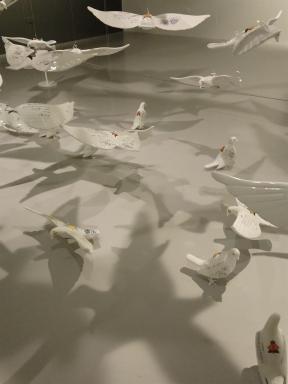 birds