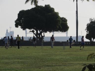 cricket