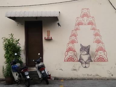 cats