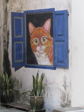 cat&window
