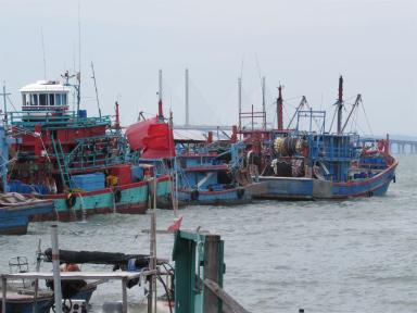 boats