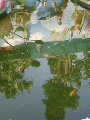 reflections