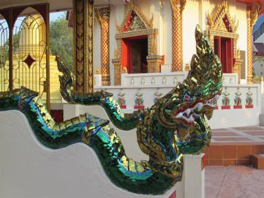 nagas1