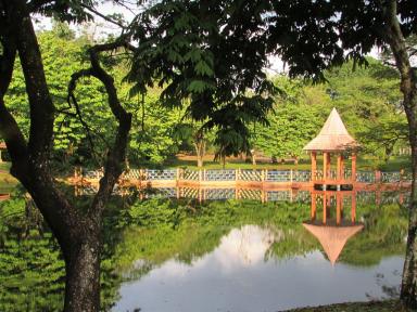 bridge