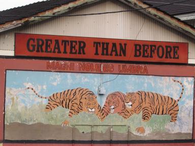 tigers