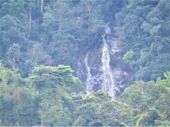 130253