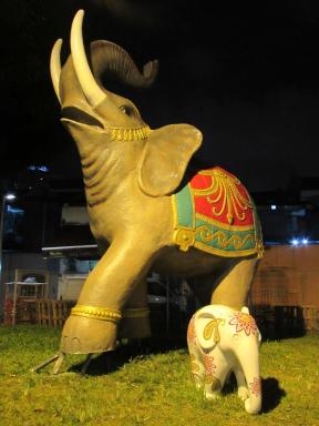 elephant