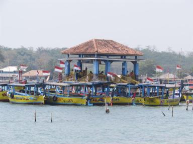 boats