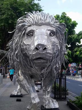 lion