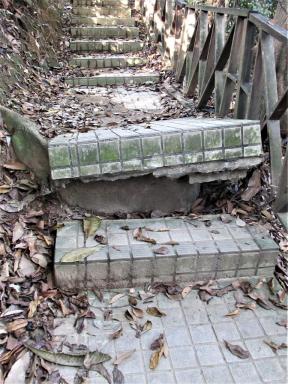 bnanas2