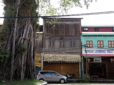 street&tree
