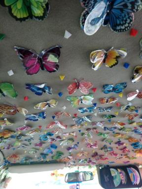 butterflies