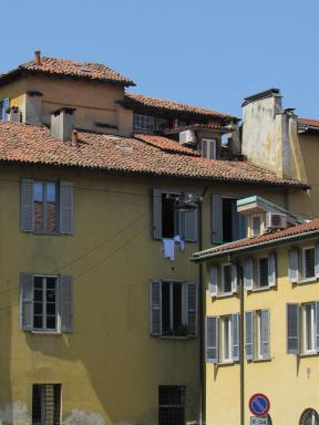 yellowwalls