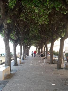 avenue