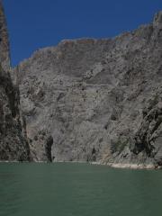 135134