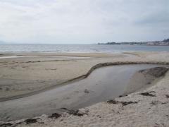 137854
