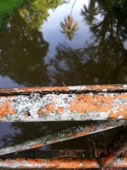 141933