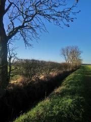 142892