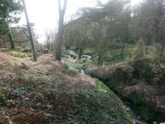 143744