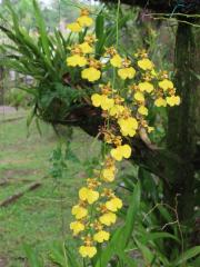 145819