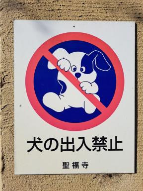nodogs