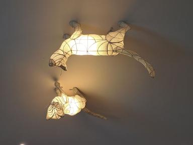 ceilingcats