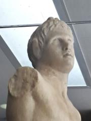 155687