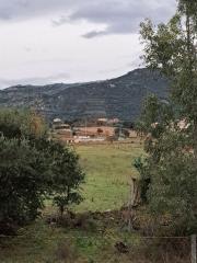 161764