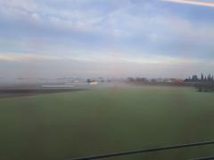 163925