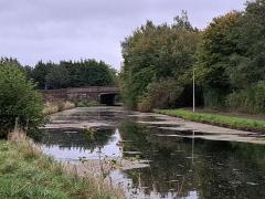 167173